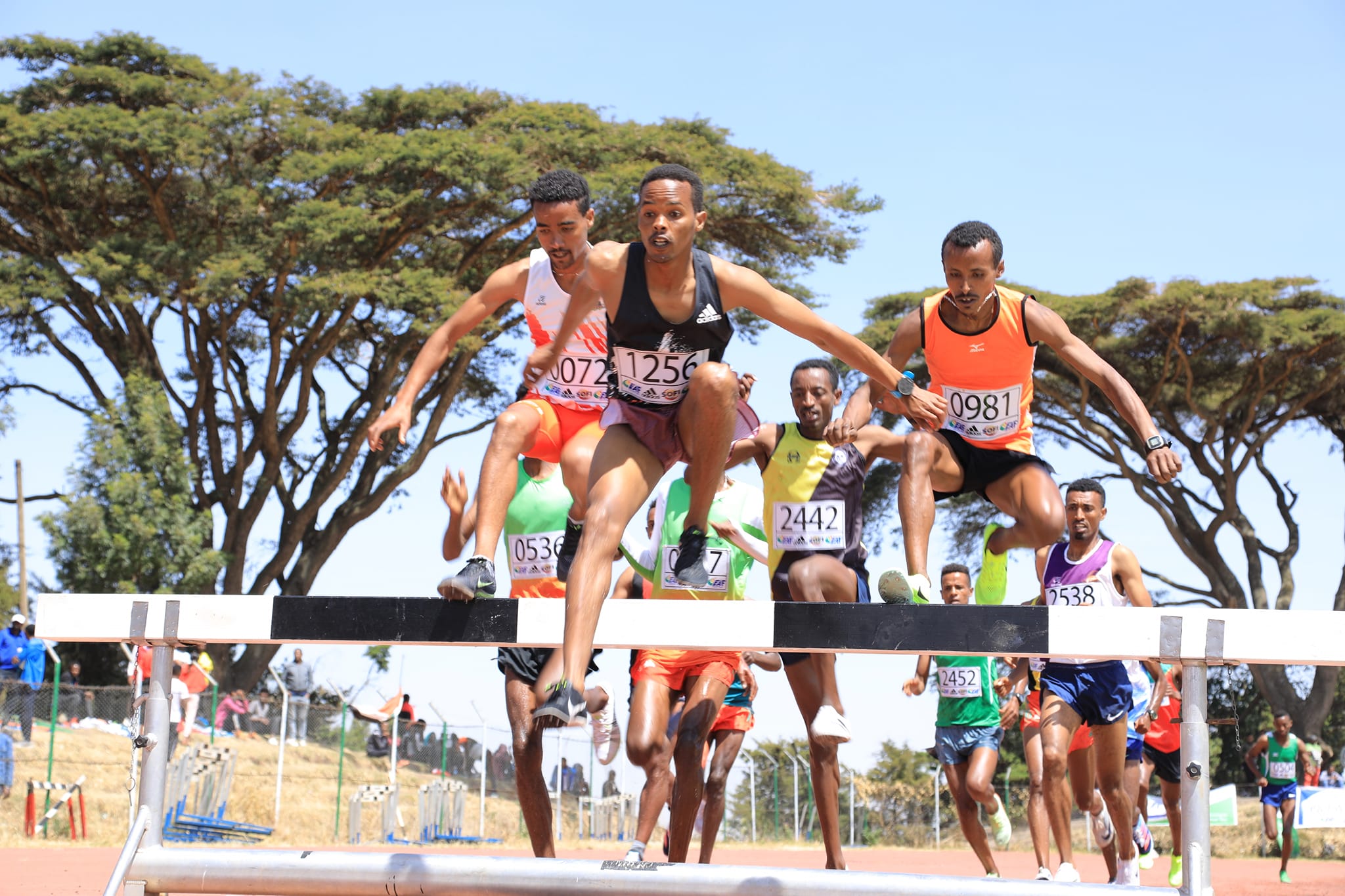 Ethiopian Athletics Championship